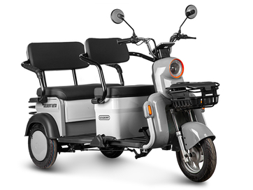 Электротрицикл Gelbert Beta 48V/60V 800Вт (серебристый)