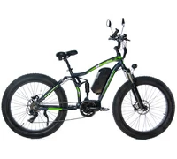 E-motions Cougar