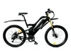 Elbike TURBO R75 Vip (Черный)