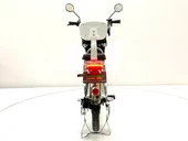 Электровелосипед GreenCamel Транк 18 V8 (R18 250W 60V 20Ah) - Фото 3