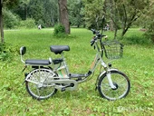 Электровелосипед GreenCamel Транк 20 V8 (R20 250W 60V 10Ah) - Фото 1