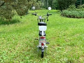 Электровелосипед GreenCamel Транк 20 V8 (R20 250W 60V 10Ah) - Фото 3