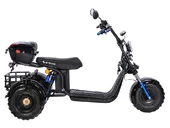 Электротрицикл SKYBOARD Irtysh TRIKE BR40-3000 PRO FAST OFF-ROAD - Фото 7