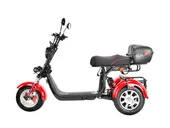 Электротрицикл White Siberia PRO TRIKE 3000W - Фото 2
