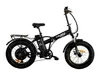 Elbike Taiga 2 Vip