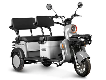 Электротрицикл Gelbert Beta 48V/60V 800Вт (серебристый)