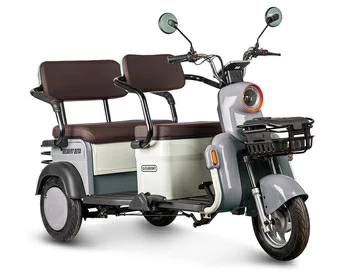 Электротрицикл Gelbert Beta 48V/60V 800Вт (бело-серый)
