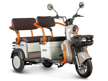 Электротрицикл Gelbert Beta 48V/60V 800Вт (бежевый)