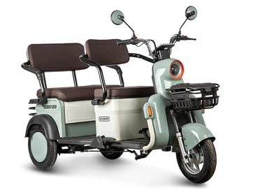 Электротрицикл Gelbert Beta 48V/60V 800Вт (зелено-белый)