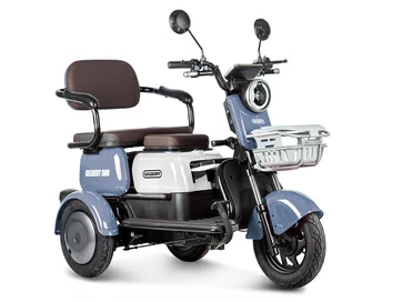 Электротрицикл Gelbert Sun (фиолетовый) 48V/60V 650Вт