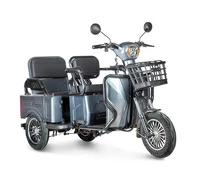 Gelbert Tuban 48V/60V 600Вт (серый)