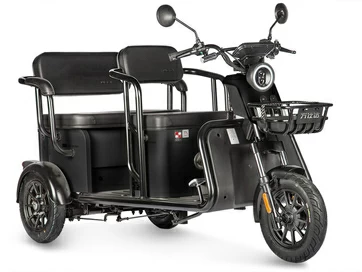 Электротрицикл Wanshida LC300 60V 1000Вт (черный)