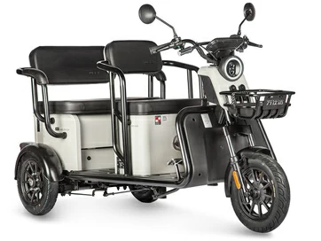Электротрицикл Wanshida LC300 60V 1000Вт (серый)