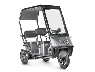 Электротрицикл Wanshida NIPLA 500 60V 1000Вт (серый)