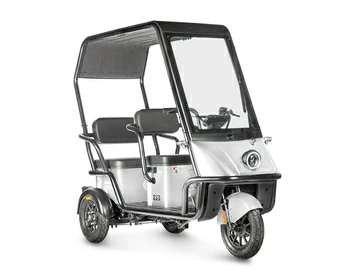 Электротрицикл Wanshida NIPLA 500 60V 1000Вт (белый)