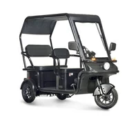 Wanshida NIPLA 570 60V 1000Вт