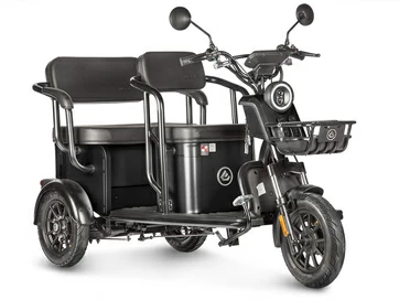 Электротрицикл Wanshida UM+ 60V 1000Вт (черный)