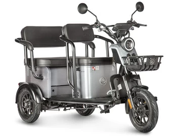 Электротрицикл Wanshida UM+ 60V 1000Вт (серый)
