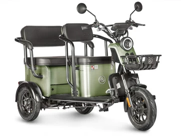 Электротрицикл Wanshida UM+ 60V 1000Вт (зеленый)